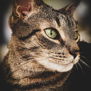 Fundraising Page: Wendy Parker